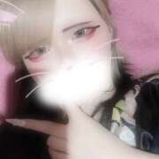 ヒメ日記 2026/08/14 22:59 投稿 ぱるる 夜這い物語