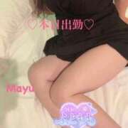 ヒメ日記 2026/08/14 07:14 投稿 瀬戸内麻友 五十路マダム 新潟店(カサブランカグループ)