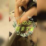 ヒメ日記 2026/07/11 14:39 投稿 しのぶ 町田人妻城