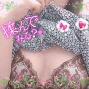 ヒメ日記 2026/09/13 13:43 投稿 みゆき 大和人妻城