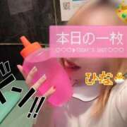 ヒメ日記 2026/07/31 19:14 投稿 ひな 宮崎しこたまクリニック（アクセスグループ）