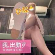 ヒメ日記 2026/10/08 17:44 投稿 ひな 宮崎しこたまクリニック（アクセスグループ）