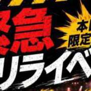 いちか ‼️‼️‼️‼️‼️‼️‼️‼️‼️‼️‼️‼️‼️ 成田人妻花壇