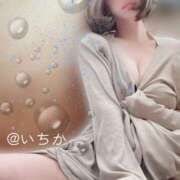 ヒメ日記 2026/09/20 10:30 投稿 いちか 成田人妻花壇