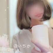 ヒメ日記 2026/09/28 13:38 投稿 いちか 成田人妻花壇