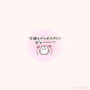 ヒメ日記 2026/08/28 23:51 投稿 あむ 秋葉原コスプレ学園(AKG)