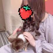 すずか 来週のシフト🩷 エンジェルマスカット