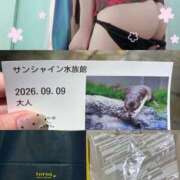 ヒメ日記 2026/09/11 09:19 投稿 栗原 みやび こあくまな熟女たち 大塚店(KOAKUMAグループ)