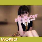ヒメ日記 2026/10/03 07:52 投稿 もも AZURE（アジュール）