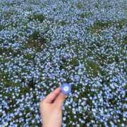 ヒメ日記 2026/07/26 09:43 投稿 ももな 池袋しろパラ