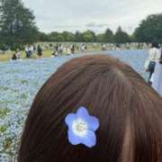 ヒメ日記 2026/07/29 05:29 投稿 ももな 池袋しろパラ
