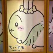 ヒメ日記 2026/09/09 13:35 投稿 さくら 素人系イメージSOAP 彼女感 宇都宮本館