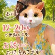 ヒメ日記 2026/08/21 09:42 投稿 古賀凪 五十路マダムエクスプレス横浜店（カサブランカグループ）