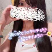 ヒメ日記 2026/08/31 14:21 投稿 しずく 新宿プチドール