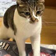 ヒメ日記 2026/09/27 15:22 投稿 みゆき 熟女の風俗最終章 新宿店