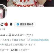 イチゴ Xフォローしてね🩷 バニーコレクション新潟店