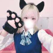 ハム 🐹ラスト1枠🈳✨🐹 バニーコレクション新潟店