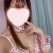 ヒメ日記 2026/08/19 09:48 投稿 にいな♡新人 密着アロマにゃんにゃんSPA