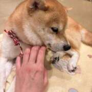 ヒメ日記 2026/09/28 06:26 投稿 中西 あすか 京都ホットポイント