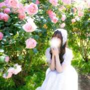 ヒメ日記 2026/09/26 01:02 投稿 はな JAPAN CLUB BUNNY LOUNGE