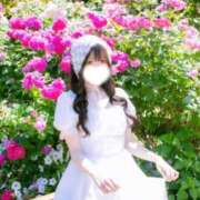 ヒメ日記 2026/10/04 20:00 投稿 はな JAPAN CLUB BUNNY LOUNGE