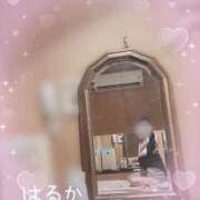ヒメ日記 2026/09/07 11:09 投稿 はるか 密着手コキ&M性感 横浜エンジェルハンド