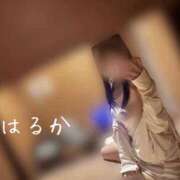 ヒメ日記 2026/10/06 11:38 投稿 はるか 密着手コキ&M性感 横浜エンジェルハンド