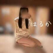 ヒメ日記 2026/10/16 10:49 投稿 はるか 密着手コキ&M性感 横浜エンジェルハンド