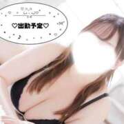ヒメ日記 2026/10/17 01:02 投稿 ろあ ぽっちゃり巨乳素人専門店ぷにめろ池袋店
