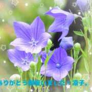 ヒメ日記 2026/07/09 04:22 投稿 小池涼子 五十路マダムエクスプレス横浜店（カサブランカグループ）