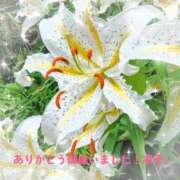 ヒメ日記 2026/07/21 15:42 投稿 小池涼子 五十路マダムエクスプレス横浜店（カサブランカグループ）