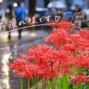 ヒメ日記 2026/09/19 20:44 投稿 小池涼子 五十路マダムエクスプレス横浜店（カサブランカグループ）