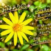 ヒメ日記 2026/09/29 10:46 投稿 小池涼子 五十路マダムエクスプレス横浜店（カサブランカグループ）