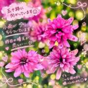 ヒメ日記 2026/10/02 10:50 投稿 小池涼子 五十路マダムエクスプレス横浜店（カサブランカグループ）
