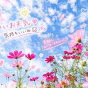 ヒメ日記 2026/10/04 11:04 投稿 小池涼子 五十路マダムエクスプレス横浜店（カサブランカグループ）
