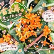 ヒメ日記 2026/10/07 13:18 投稿 小池涼子 五十路マダムエクスプレス横浜店（カサブランカグループ）