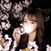 ヒメ日記 2026/07/07 23:51 投稿 環奈/かんな・電マ無料 Muteki Platinum