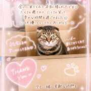 ヒメ日記 2026/07/13 19:29 投稿 紫【むらさき】 丸妻 西船橋店