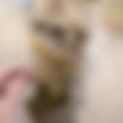 ヒメ日記 2026/10/16 19:00 投稿 あかり 秋葉原ハンドメイド