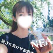 ヒメ日記 2026/07/17 12:18 投稿 ねあ Salon du M-えっちなお姉さんのM性感デリバリー-五反田店