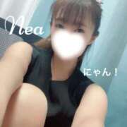ヒメ日記 2026/08/15 12:18 投稿 ねあ Salon du M-えっちなお姉さんのM性感デリバリー-五反田店