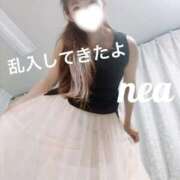 ヒメ日記 2026/08/24 22:18 投稿 ねあ Salon du M-えっちなお姉さんのM性感デリバリー-五反田店