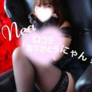 ヒメ日記 2026/09/11 12:08 投稿 ねあ Salon du M-えっちなお姉さんのM性感デリバリー-五反田店