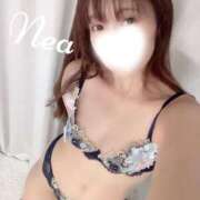 ヒメ日記 2026/09/24 12:18 投稿 ねあ Salon du M-えっちなお姉さんのM性感デリバリー-五反田店