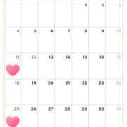 ヒメ日記 2026/09/28 12:18 投稿 ねあ Salon du M-えっちなお姉さんのM性感デリバリー-五反田店