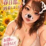 ヒメ日記 2026/08/11 13:10 投稿 うの 僕らのぽっちゃリーノin野田