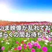 ヒメ日記 2026/07/12 19:21 投稿 にゃおせん 日暮里・西日暮里サンキュー