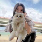 ヒメ日記 2026/07/13 16:12 投稿 霧島　ななせ 雅(みやび)