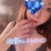 ヒメ日記 2026/07/10 11:23 投稿 瀬川まい ミスターダンディー