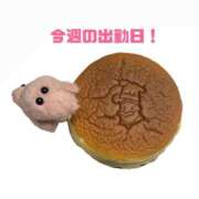 ヒメ日記 2026/07/28 12:52 投稿 さりな ビデオdeはんど 横浜校